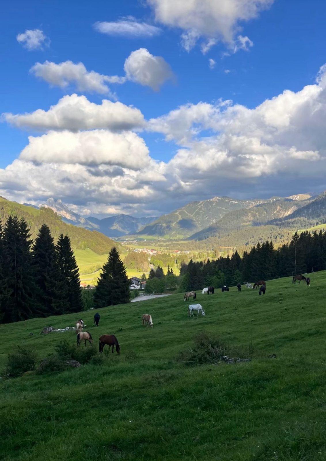 Tannheimer Tal