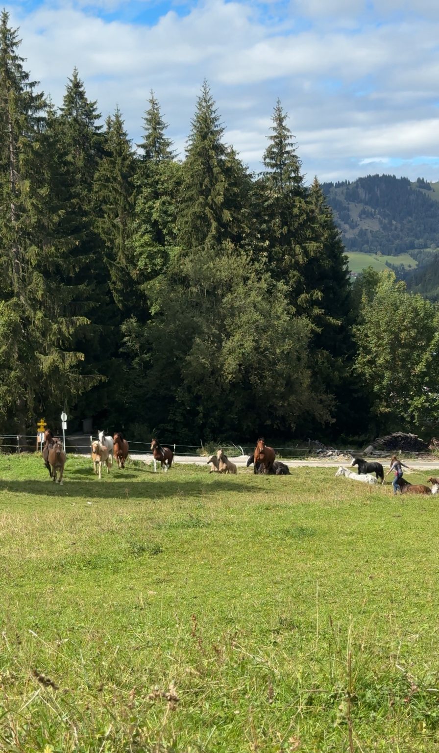 Einblick in den letzten Portfoliotag im Tannheimer Tal