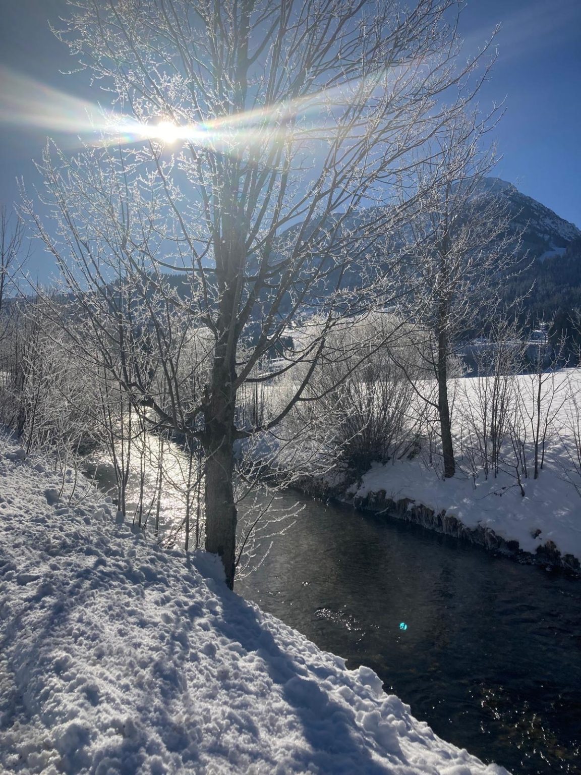 Raureif am Bach im Tannheimer Tal
