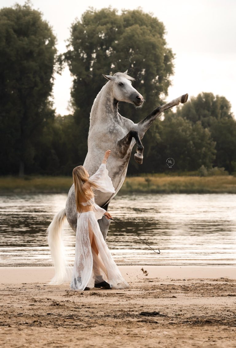 Freiheitsdressur – Special Guest Model Fotografencamp 2027