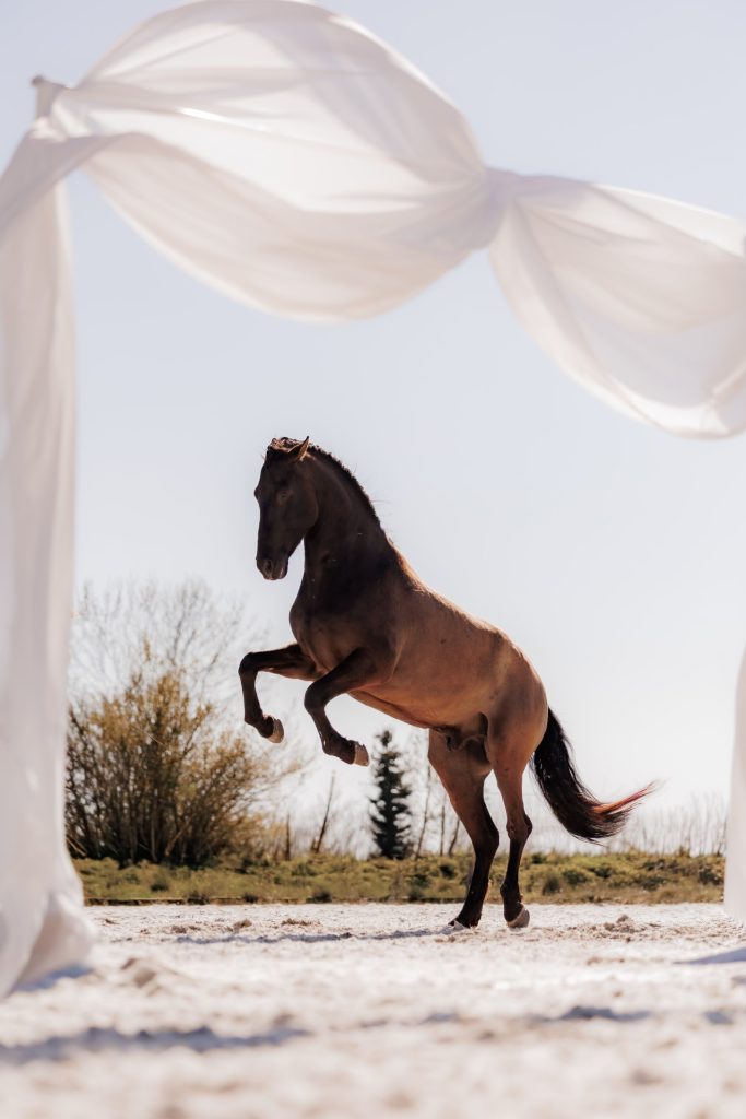 Teilnehmerbild Fotografencamp – entstandenes Kunstwerk