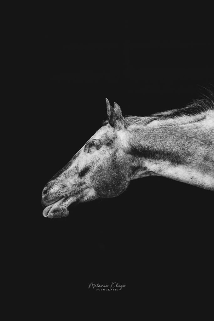 Teilnehmerbild Fotografencamp – entstandenes Kunstwerk